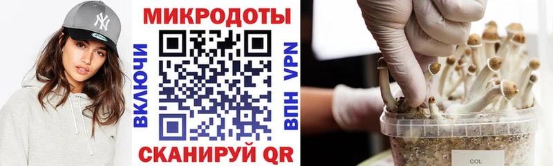 как найти закладки  Новоульяновск  Псилоцибиновые грибы мухоморы 